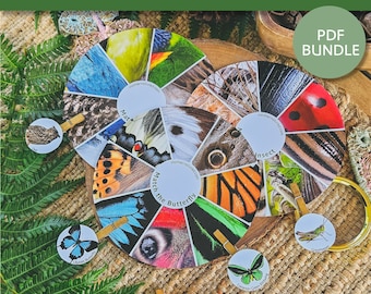 May include: A set of two colorful butterfly wing pattern matching wheels with a variety of insect and animal patterns. The wheels are made of cardstock and have a hole in the center for a pencil or dowel rod. The set includes a variety of matching cards with different insect and animal patterns. The cards are printed on cardstock and have a hole in the center for a pencil or dowel rod. The set is perfect for learning about insects and animals.  "Match the Butterfly" is printed on the wheels.