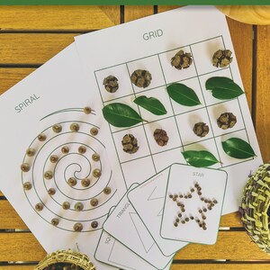 Puede incluir: Un conjunto de plantillas de formas imprimibles con las palabras "Espiral", "Cuadr&iacute;cula", "Tri&aacute;ngulo", "Cuadrado" y "Estrella" impresas en ellas. Las plantillas est&aacute;n rodeadas de materiales naturales como hojas, pi&ntilde;as y peque&ntilde;as piedras.