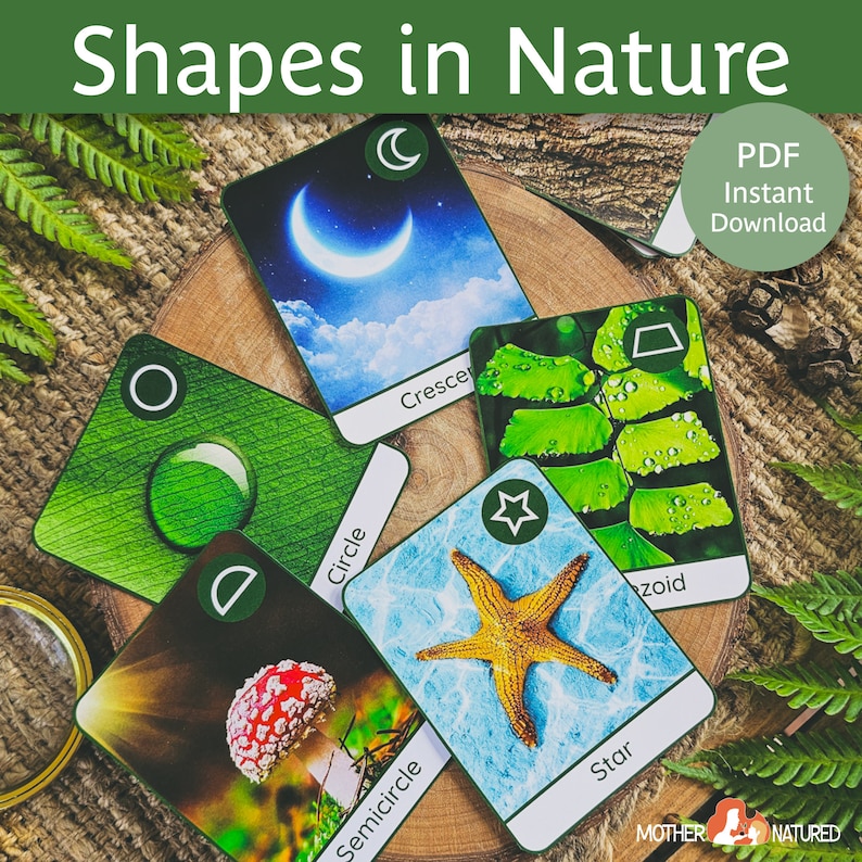 Nature Shapes Poster and Cards Nature Shapes Preschool Nature Shapes ...