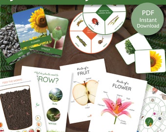 Garden Activity Printables for Kids | Garden Resources | Gardening with kids | Gardening resources for schools | Vegetable Garden Printables