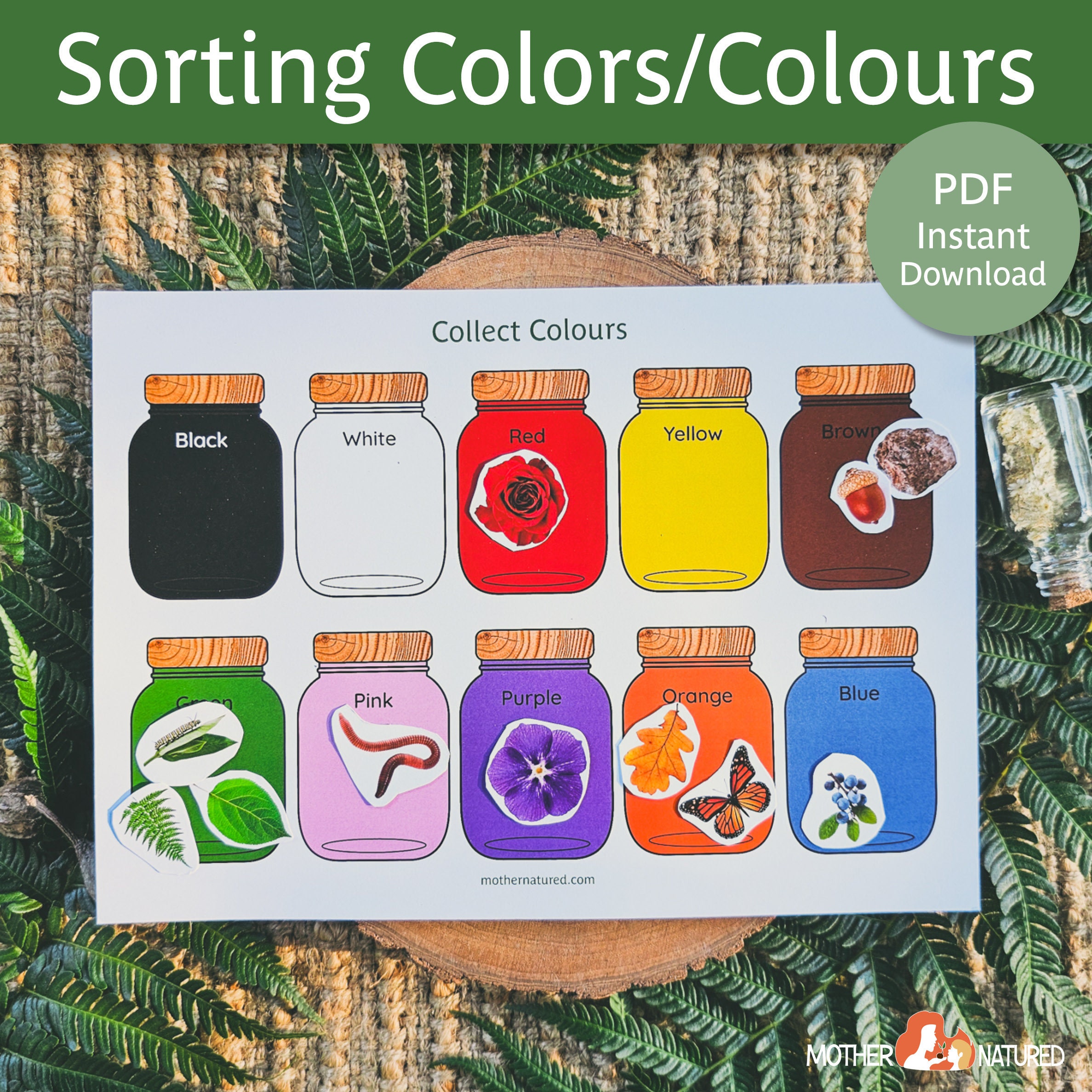 Sorting Color Activity | Sorting Colour Activity | Colour Recognition ...
