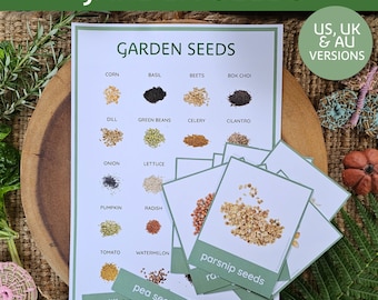 Garden Seed Printables | Vegetable Seed Poster | Garden seed Flash Cards | Garden Study | Seed printables | Garden Classroom Decor