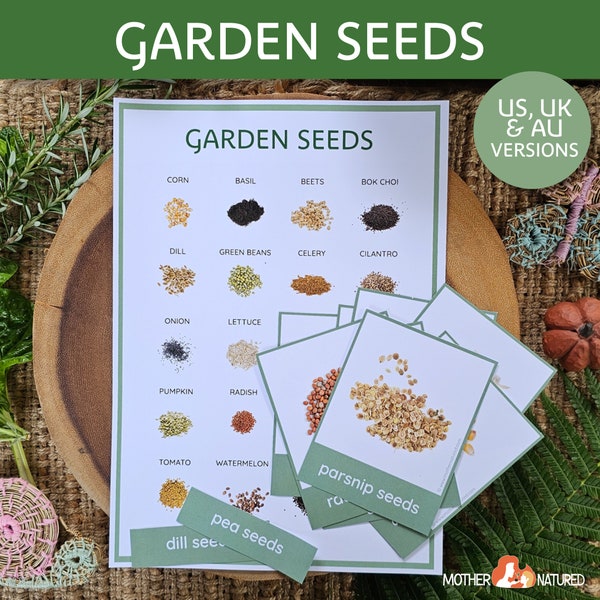 Garden Seed Printables | Vegetable Seed Poster | Garden seed Flash Cards | Garden Study | Seed printables | Garden Classroom Decor