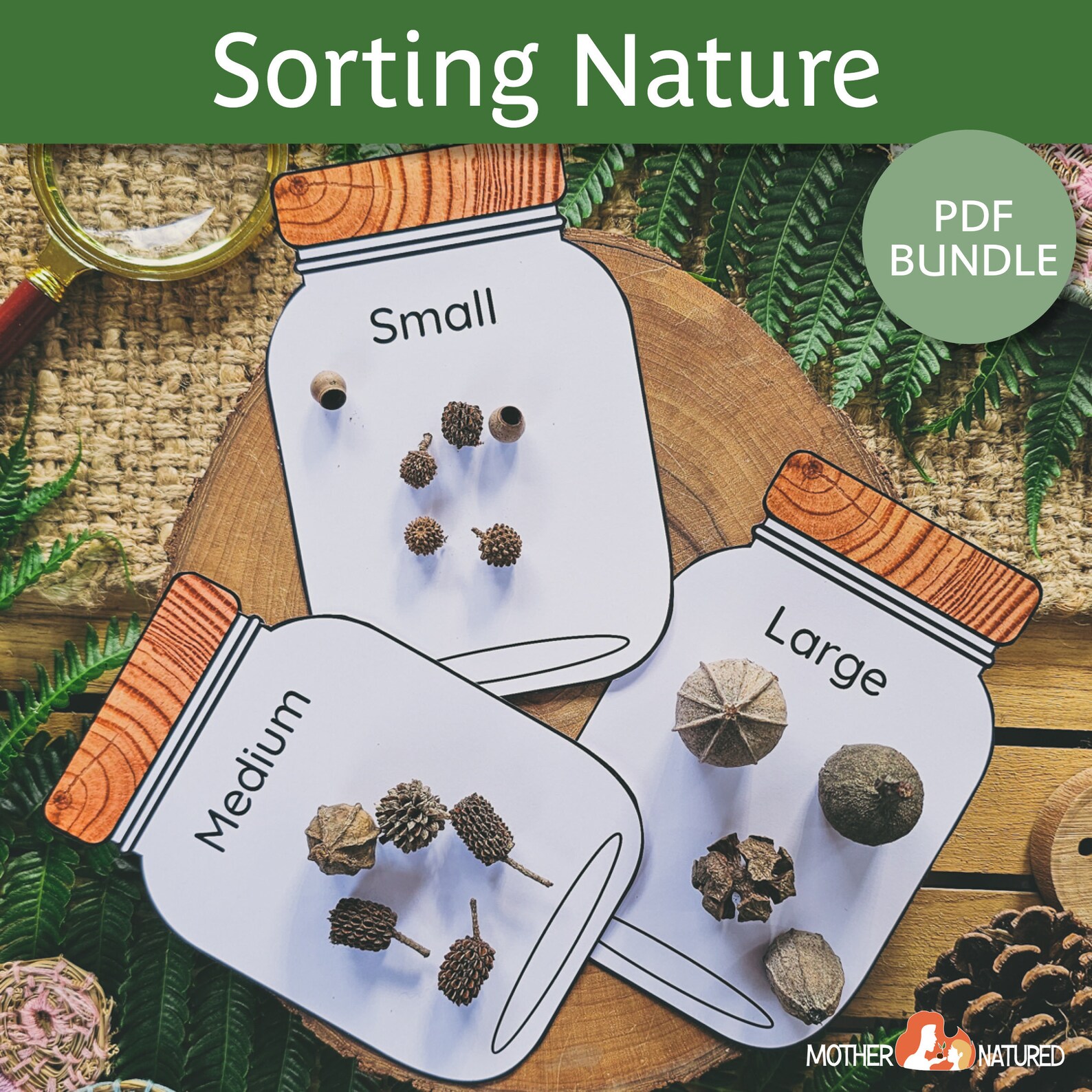 Animal Sorting Activity Nature Sorting Activity Outdoor Etsy Australia