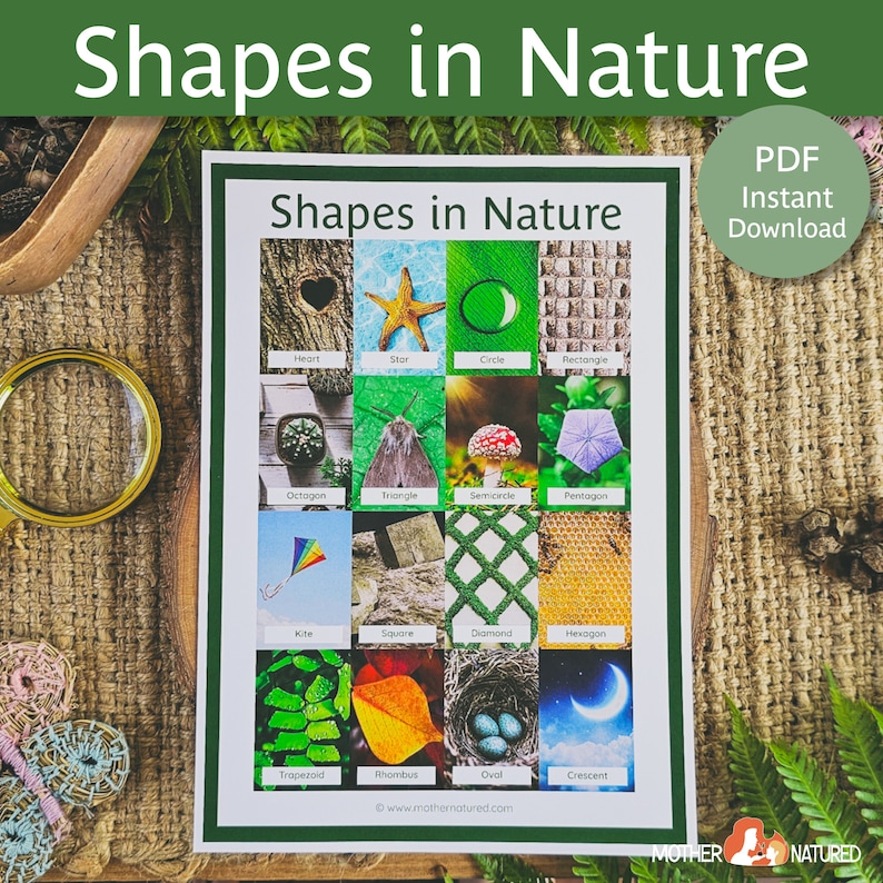 May include: A printable chart with illustrations of different shapes found in nature. The chart includes a heart, star, circle, rectangle, octagon, triangle, semicircle, pentagon, kite, square, diamond, hexagon, trapezoid, rhombus, oval, and crescent. The chart is titled "Shapes in Nature" and has the text "PDF Instant Download" in the top right corner.