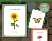 Nature Gratitude Cards | Gratitude for Kids | Gratitude Activities for Kids | Montessori Gratitude | Nature Printables | Gratitude Reflect