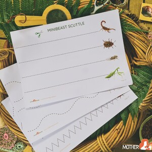 May include: A set of four printable worksheets for kids to practice tracing lines. The worksheets feature a variety of lines, including straight lines, wavy lines, and zig-zag lines. The worksheets also feature images of insects, including a scorpion, a beetle, a dragonfly, and a praying mantis. The title of the worksheets is "Minibeast Scuttle".