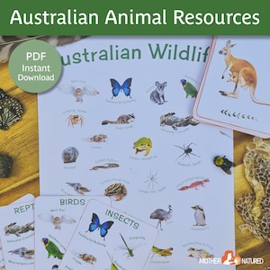 Australian Animals Preschool |  Australian Animals Posters | Animal Classification | Australian Animals Printables | Australian Wildlife