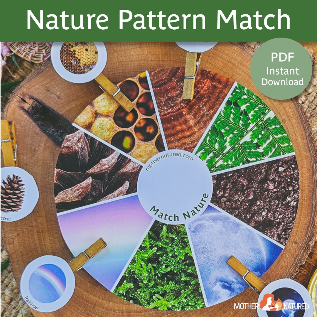 Nature Matching Activity Nature Activity Nature Printable Nature