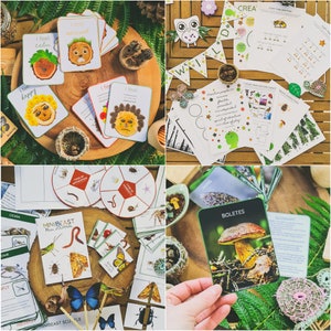 May include: A set of nature-themed educational resources for kids, including a mini-beast journal, a nature dance game, and a set of cards with different emotions. The cards feature illustrations of animals and nature scenes.