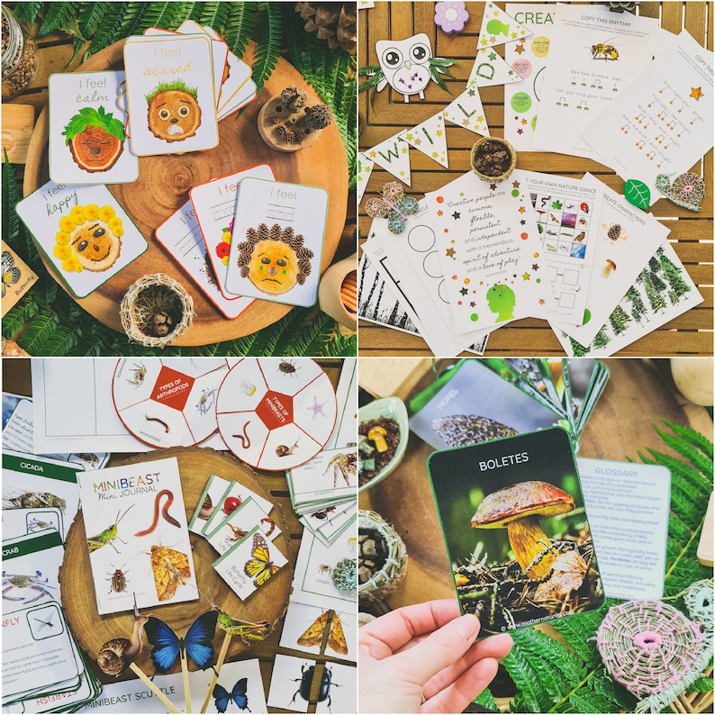 May include: A set of nature-themed educational resources for kids, including a mini-beast journal, a nature dance game, and a set of cards with different emotions. The cards feature illustrations of animals and nature scenes.
