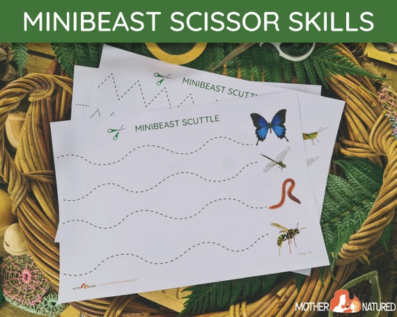 Minibeast Scissor Skills | Minibeast Scissor Activity | Minibeast printables