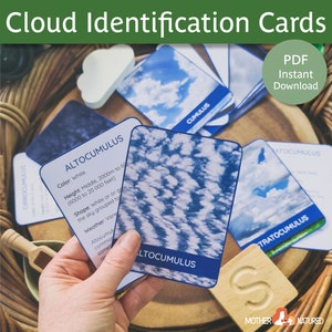 Cloud Identification Cards | Types of Clouds | Clouds Printable Cards | Cloud Study | Cloud Activity | Cloud flash cards | Montessori Clouds