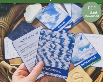 Cloud Identification Cards | Types of Clouds | Clouds Printable Cards | Cloud Study | Cloud Activity | Cloud flash cards | Montessori Clouds
