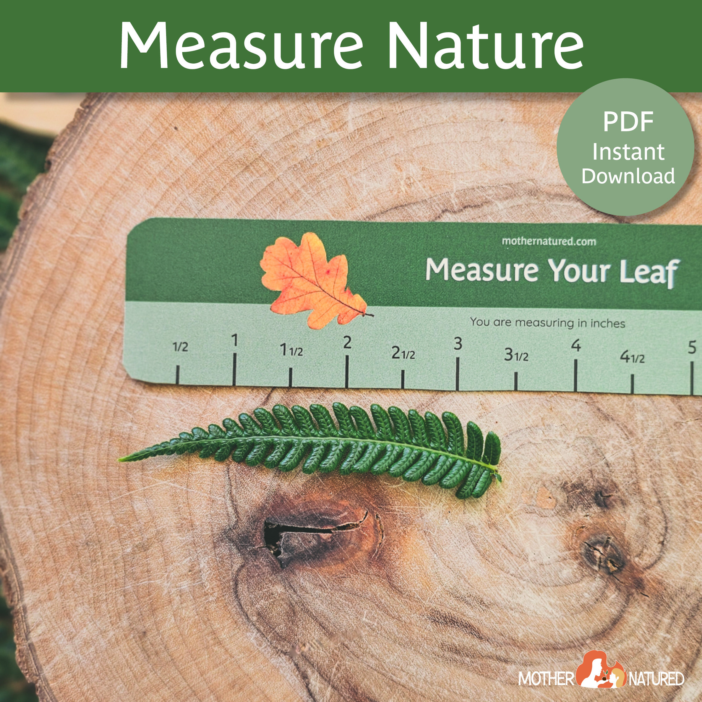 Stone Nature Ruler Measure Nature Rulers INCHES | Outdoor Play Printables | Nature Math ...