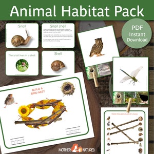 Attività sull'habitat degli animali / Fogli di lavoro sull'habitat della fauna selvatica / Attività sulle case degli animali / Habitat degli animali / Stampabili sulle case degli animali /