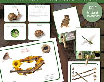 Animal Habitat Activity | Wildlife Habitat Worksheets | Animal Homes Activity | Animal Habitats |  Animal Homes Printables |