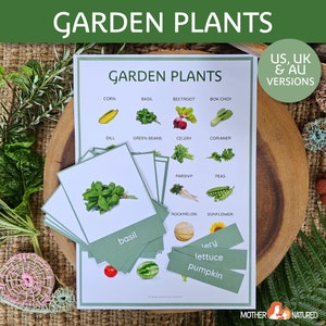 Imprimables de plantes de jardin | Affiche de légumes de jardin | Cartes flash de plantes de jardin | Étude de jardin | Imprimables de jardin | Décor de salle de classe de jardin