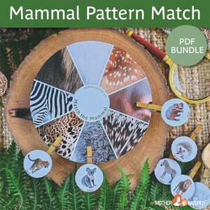 Mammal Matching Activity | Mammal Game | Pattern Activity | Preschool ...