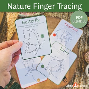 Tarjetas y carteles de rastreo de dedos de la naturaleza / Actividad tranquila de la naturaleza / Actividad tranquila de la primera infancia / Montessori