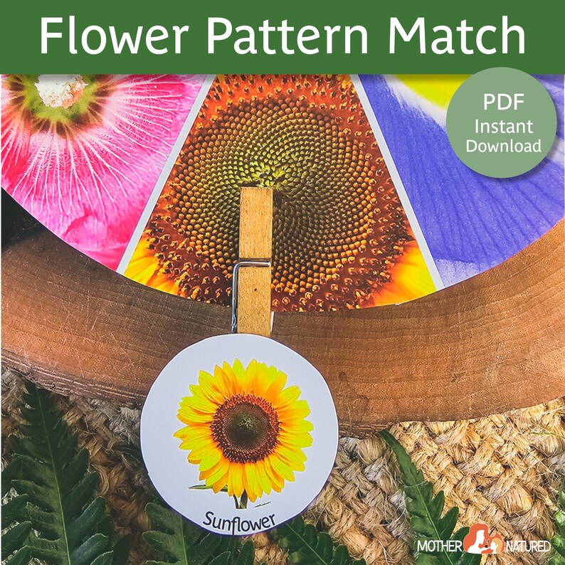Flower Matching Activity | Flower Pattern Activity | Flower Study ...