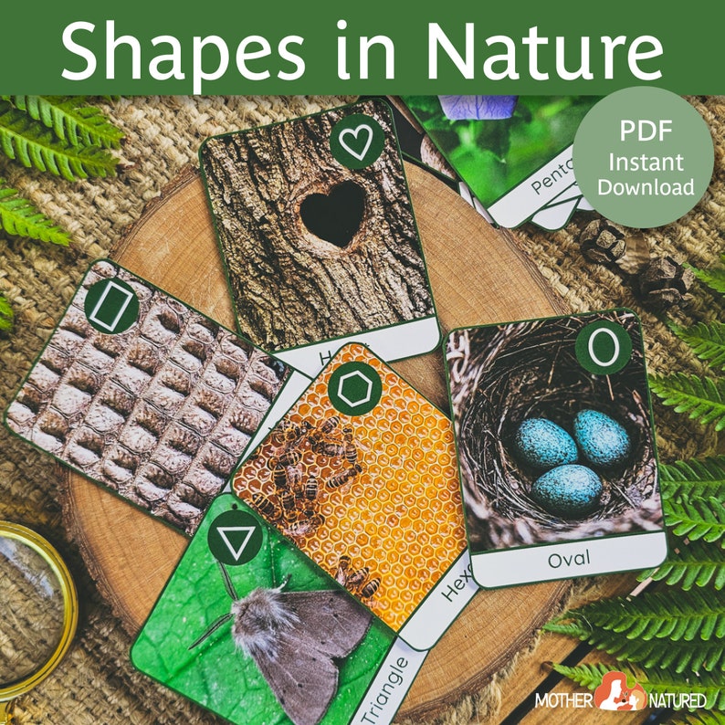 May include: A set of printable flashcards featuring different shapes found in nature. The cards show a heart-shaped hole in a tree, a honeycomb, a bird's nest with oval-shaped eggs, a triangle-shaped moth, a rectangle-shaped pattern on a snake's skin, and a pentagon-shaped flower. The cards are labeled with the shape name and a small icon of the shape. The text "PDF Instant Download" is visible in the top right corner of the image.