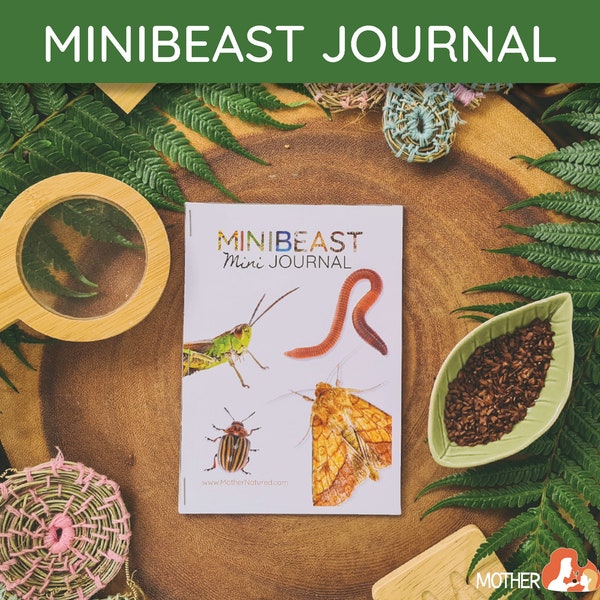 Minibeast Journal | Minibeast Study | Minibeast Mini Journal | Minibeast Observation | Invertebrate Study | Invertebrate Journal |