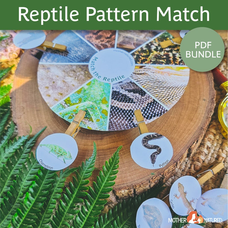 Op de afbeelding: Een printbaar reptielpatroon-matchingspel voor kinderen. Het spel bevat een wiel met verschillende reptielhuidpatronen en aparte kaarten met afbeeldingen van reptielen. De tekst op het wiel luidt "Match the Reptile".