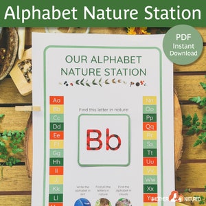 Estação do Alfabeto da Natureza | Gráfico de parede do alfabeto | Suspensão de parede do alfabeto | Atividade de Carta da Natureza | Atividade do alfabeto para crianças em idade pré-escolar