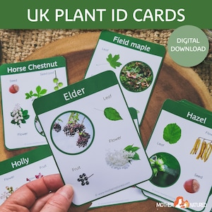 Identificación de plantas del Reino Unido / Plantas británicas / Flora británica / Estudio de la naturaleza / Charlotte Mason / Anatomía vegetal / Imprimible / Charlotte Mason
