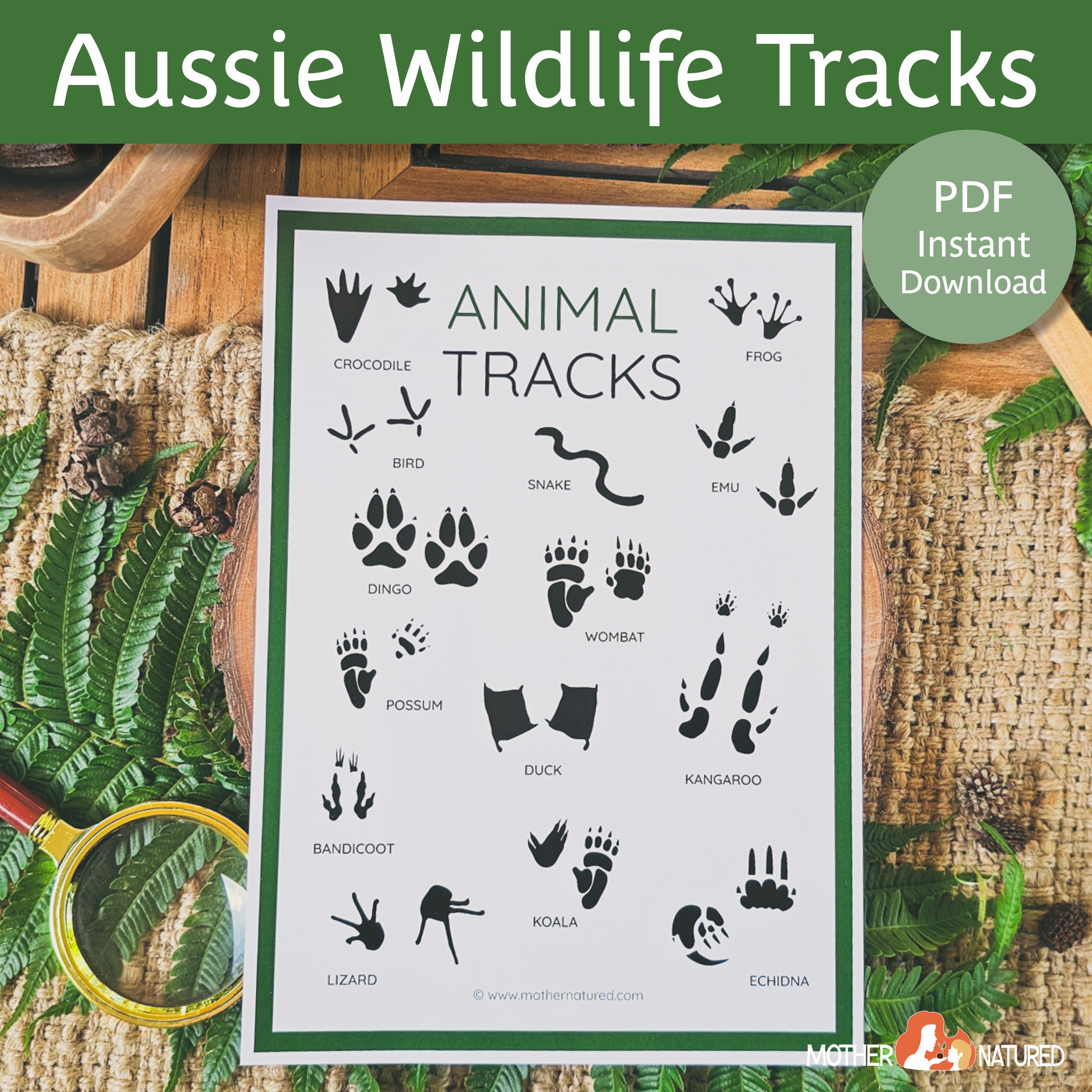 Animal Footprints Australia — free download
