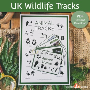Guía británica de huellas de animales / Seguimiento de animales para niños / Huellas de animales del Reino Unido / Seguimiento de animales imprimible / Estudio de huellas de animales