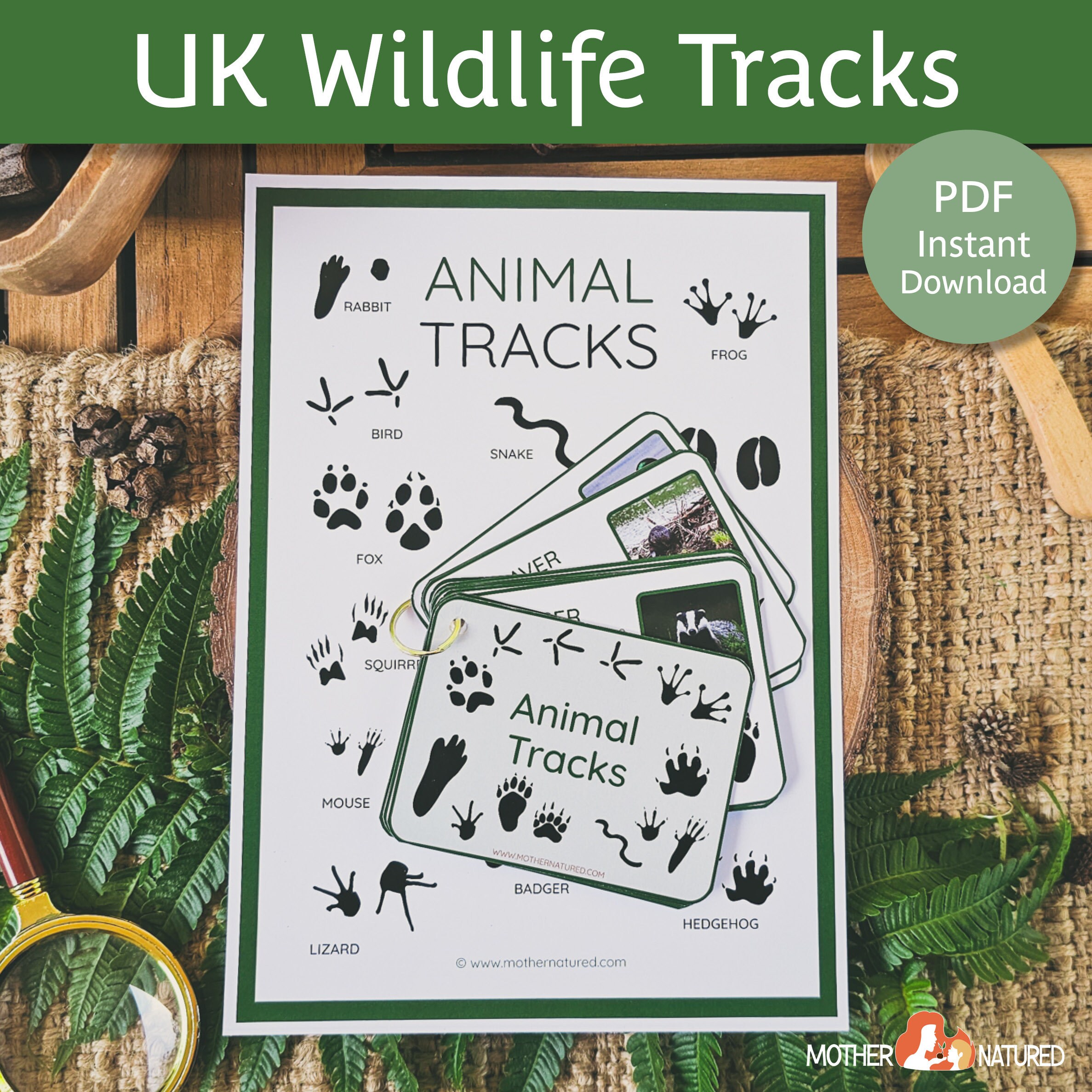 ANIMALS☆Animal Tracks UK Blue Columbia M（36 Most Common