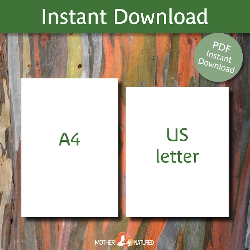 May include: Two white rectangles with text on a colorful background. The text on the left rectangle says "A4" and the text on the right rectangle says "US letter". The background is a close-up of a tree trunk with a colorful, layered bark pattern.