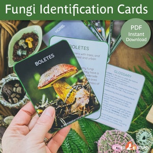 Tarjetas de identificación de hongos / Tarjetas de identificación de hongos / Tarjetas de hongos / Tarjetas de hongos / Estudio de hongos / Estudio de hongos / Charlotte Mason
