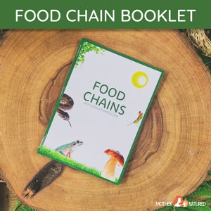 Puede incluir: Un folleto blanco con el título "Food Chains" y el sitio web "mothernatured.com". El folleto presenta ilustraciones de una serpiente, una rana, un hongo y un saltamontes.