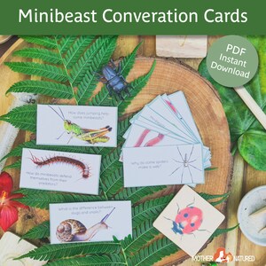 Carte di conversazione Minibeast / Carte domande Minibeast / Carte discussione Minibeast / Carte suggerimenti Minibeast