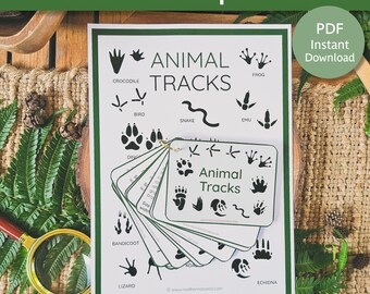 Australian Animal Tracks Guide  | Animal Tracking for Kids | Australian Animal Footprints | Animal Tracking printable | Animal Tracks Study