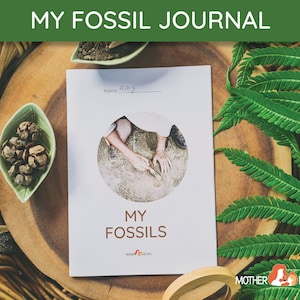 Fossil and Paleontology Journal