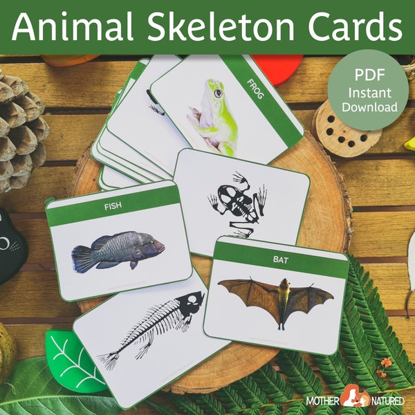 ANIMAL SKELETON MATCHING Cards for Kids | Skeleton Printable for kids | Animal Skeletons | Vertebrate Printable