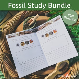 FOSSIL Printables for Kids | Fossil Bundle | Dinosaur Digital Download ...