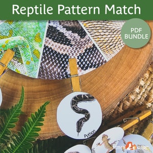 Reptile Matching Activity | Reptile Game | Pattern Activity | Preschool ...