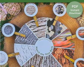 May include: A wooden circle with different tree bark patterns around the edge.  There are eight smaller circles with different tree bark patterns that can be matched to the larger circle.  The text "Match the Tree Bark" is in the center of the circle.  The text "PDF Instant Download" is in the upper right corner of the image.