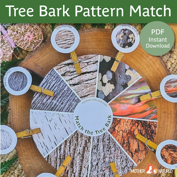 Tree Bark Matching Activity | Bark Activity |  Tree Study Printable | Tree Activity Preschool | Bark Identification Printable