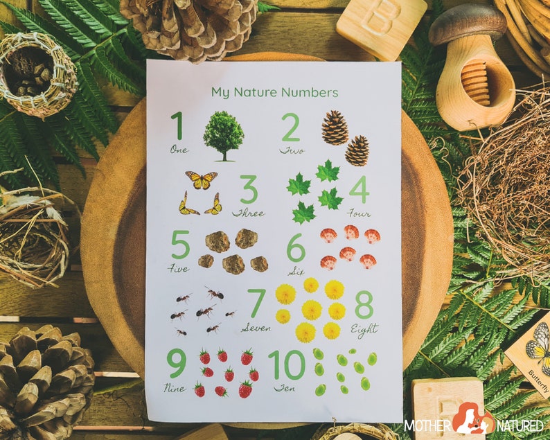 Nature Numbers Ten Nature Numbers Posters | Nature Number Printables | Nature Numbers ...