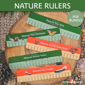 May include: A set of five colorful nature-themed rulers for measuring in inches and centimeters. The rulers feature illustrations of a stick, a minibeast, animal scats, animal tracks, and a feather. The rulers are labeled with the text "Measure Your Stick", "Measure Your Minibeast", "Measure Animal Scats (pool)", "Measure Animal Tracks", and "Measure Your Feather".