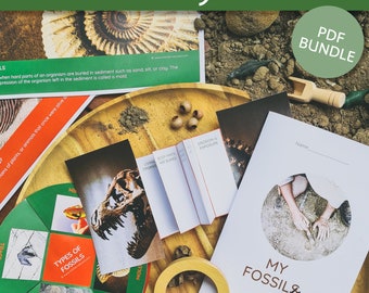 FOSSIL Printables For Kids | Fossil bundle | Dinosaur digital download | Fossil Posters | Fossil Activity | Fossils for Kids