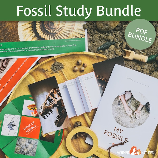 FOSSIL Printables For Kids | Fossil bundle | Dinosaur digital download | Fossil Posters | Fossil Activity | Fossils for Kids