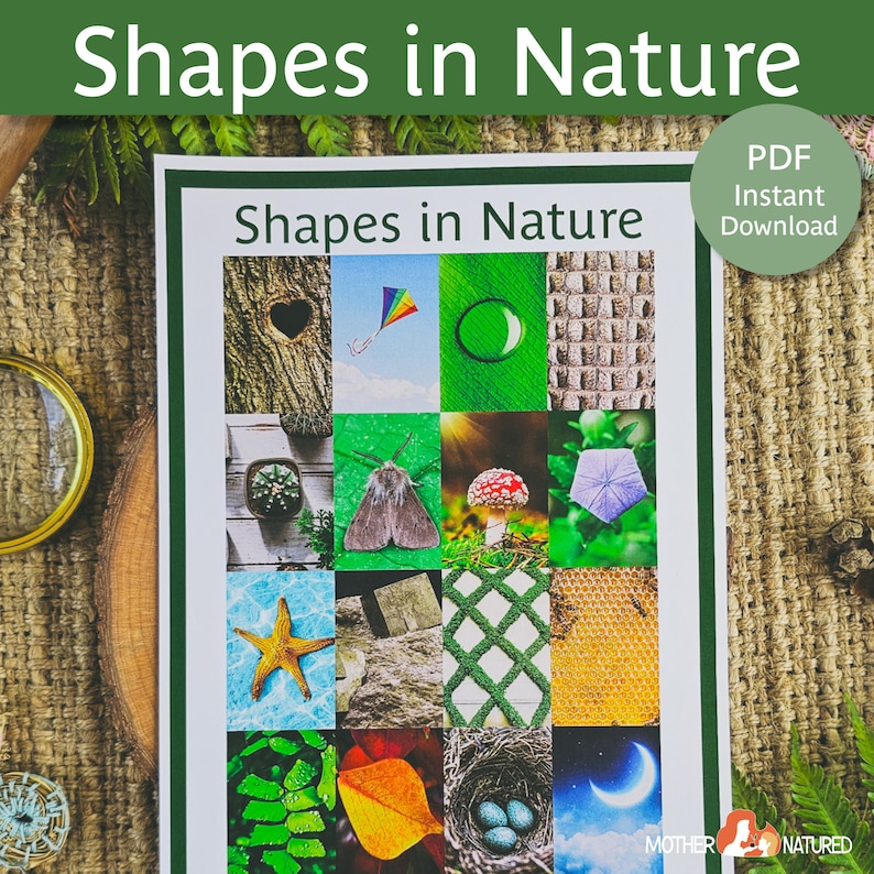 May include: A printable worksheet with the title "Shapes in Nature" featuring a grid of 16 images of natural objects that represent different shapes, such as a heart, circle, star, and hexagon.