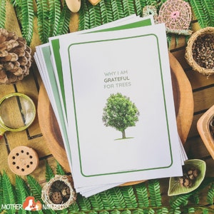 Nature Journal for Kids | Nature Study Journal | Outdoor Journal | Charlotte Mason Journal | Forest School image 7